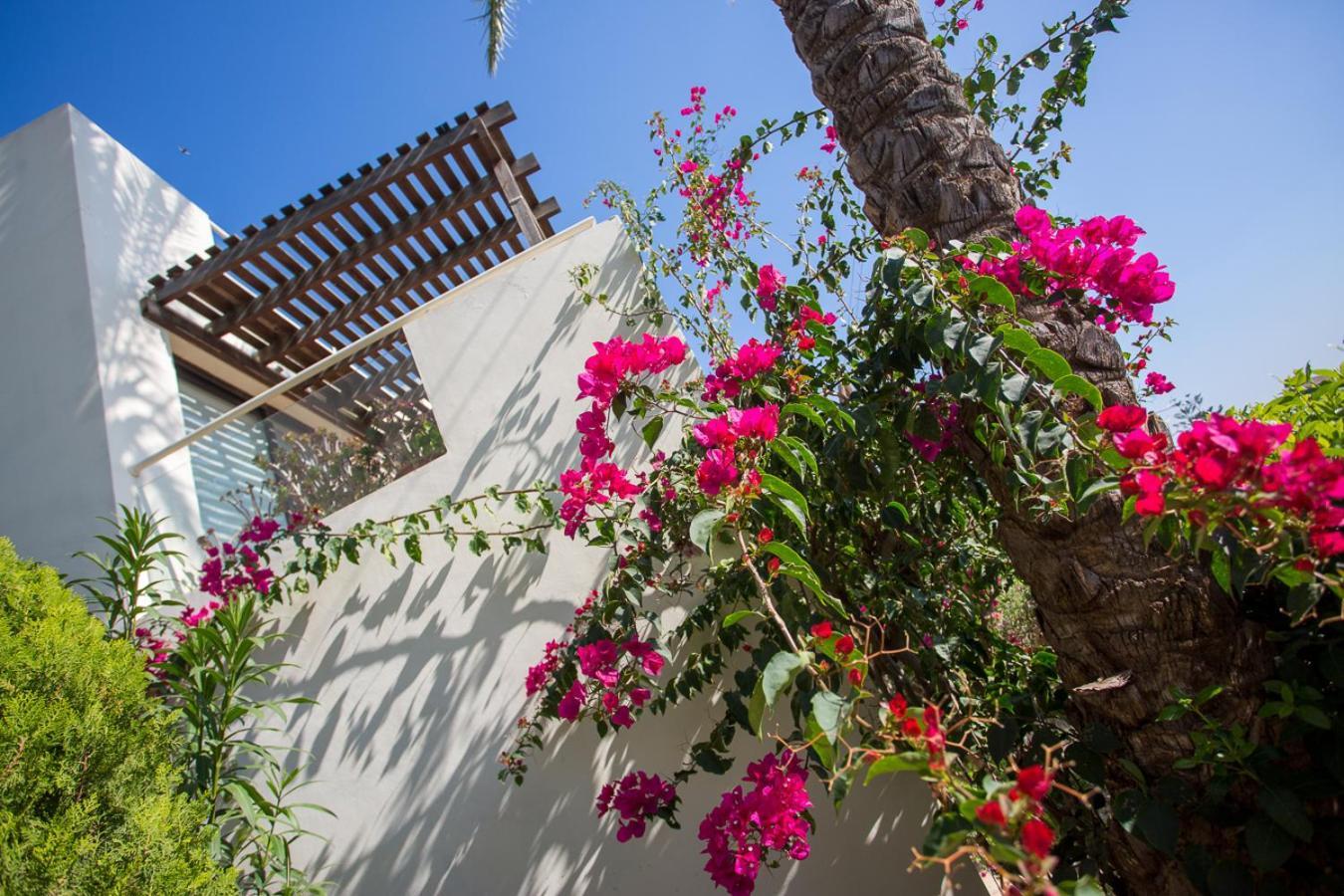 Penthouse Duplex Overlooking The Mediterranean 拉纳卡 外观 照片